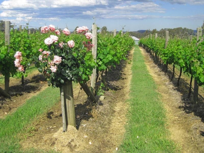 73 Kelman Estate, Crn Oakey Creek Road & Mt View Road, Pokolbin NSW 2320