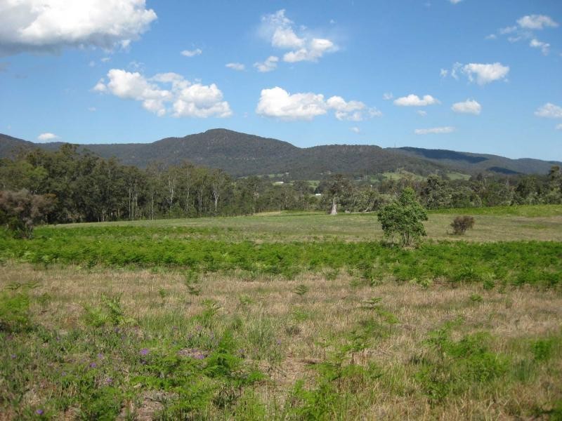 84 Sandy Creek Road, Mount Vincent NSW 2323