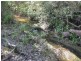 84 Sandy Creek Road, Mount Vincent NSW 2323