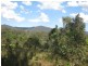 84 Sandy Creek Road, Mount Vincent NSW 2323