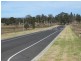 Lot 202, 203, 228 The Vines Estate, Mt View Road, Cessnock NSW 2325
