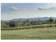 270 Old North Road, Pokolbin NSW 2320