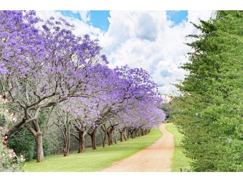 7 Range Road, Whittingham NSW 2330