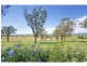 7 Range Road, Whittingham NSW 2330