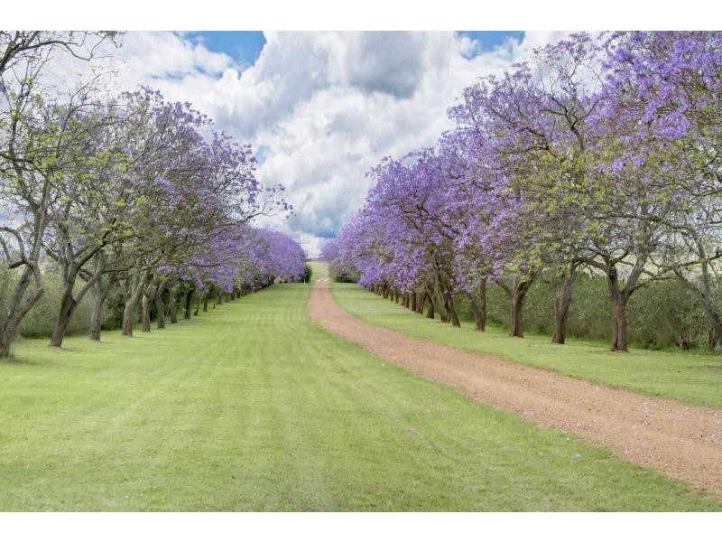 7 Range Road, Singleton NSW 2330