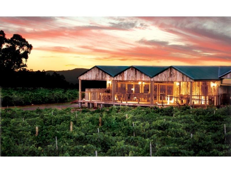 16 Pokolbin Mountain Road, Pokolbin NSW 2320