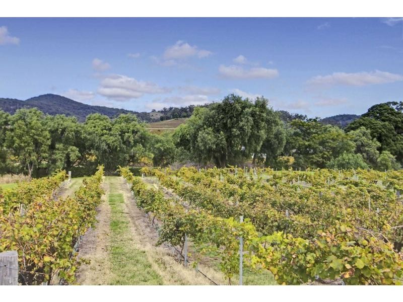 16 Pokolbin Mountain Road, Pokolbin NSW 2320