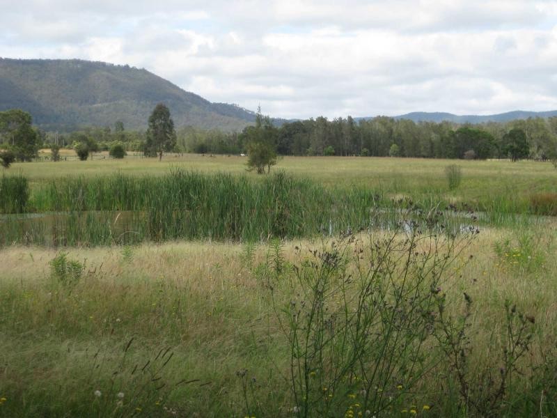 Lots 46, 47 & 432 Wallaby Gully Road, Ellalong NSW 2325