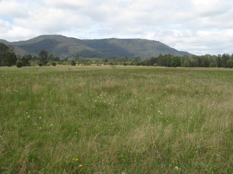 Lots 46, 47 & 432 Wallaby Gully Road, Ellalong NSW 2325