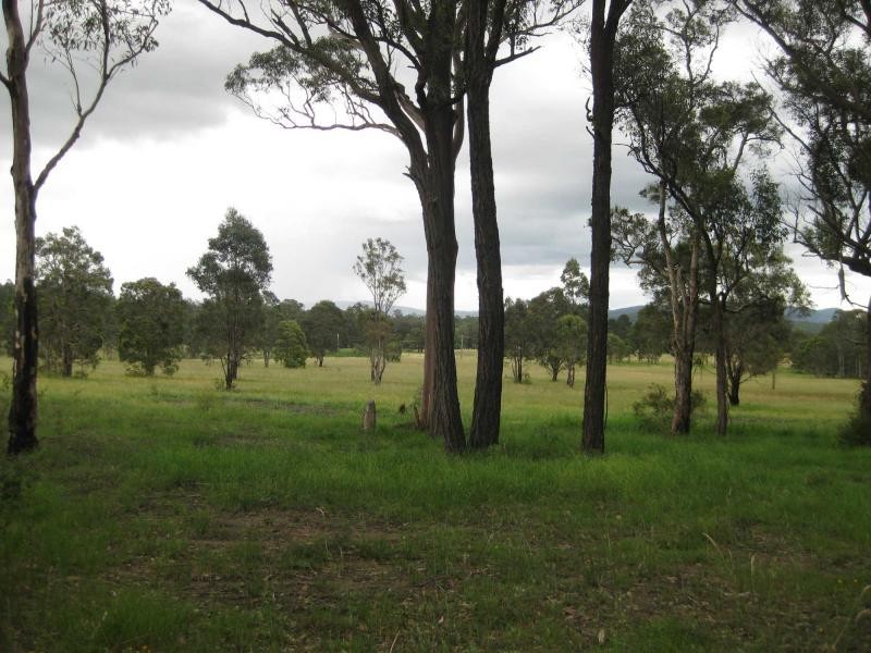 Lots 46, 47 & 432 Wallaby Gully Road, Ellalong NSW 2325