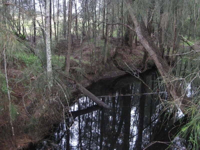 Lots 46, 47 & 432 Wallaby Gully Road, Ellalong NSW 2325