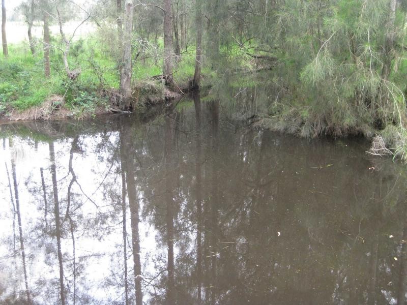 Lot 431 Wallaby Gully Road, Ellalong NSW 2325