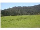 Lot 275 Old Settlers Road, Paynes Crossing NSW 2325