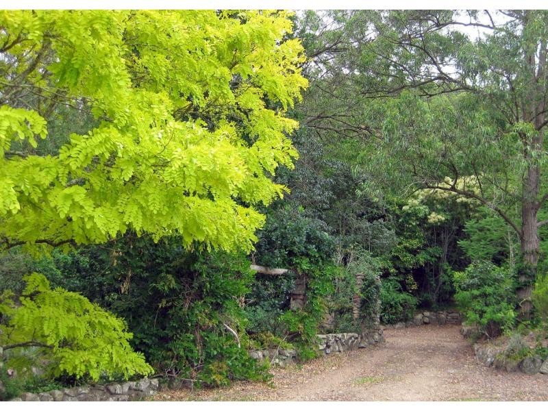 331 Lambs Valley Road, Lambs Valley NSW 2335