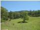 331 Lambs Valley Road, Lambs Valley NSW 2335