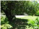 65 Government Road, Kurri Kurri NSW 2327