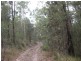 Proposed Lot 2371 of Thursbys Road, Congewai NSW 2325