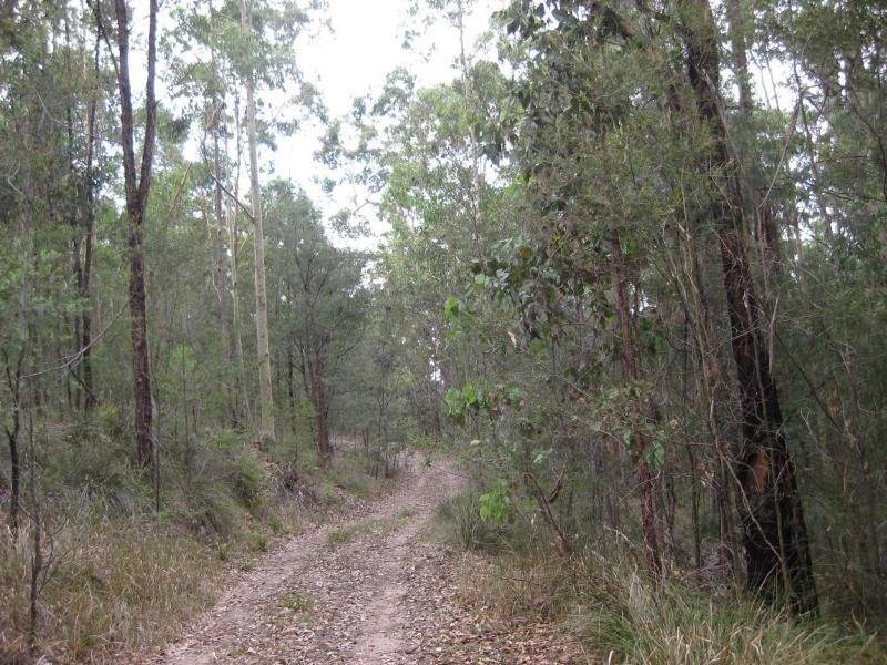 Proposed Lot 2371 of Thursbys Road, Congewai NSW 2325