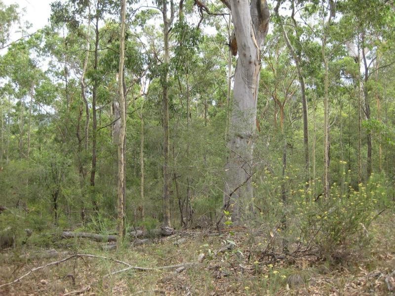 Proposed Lot 2371 of Thursbys Road, Congewai NSW 2325