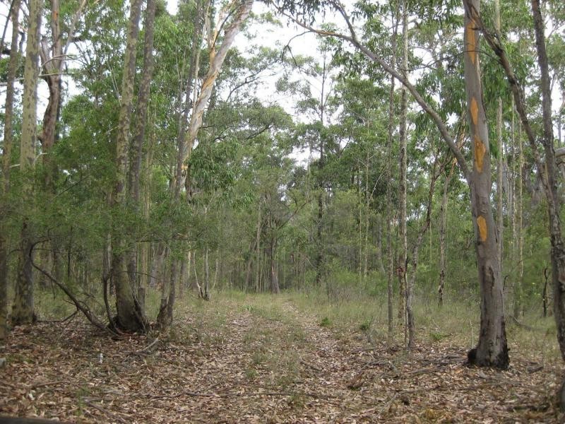 Proposed Lot 2371 of Thursbys Road, Congewai NSW 2325