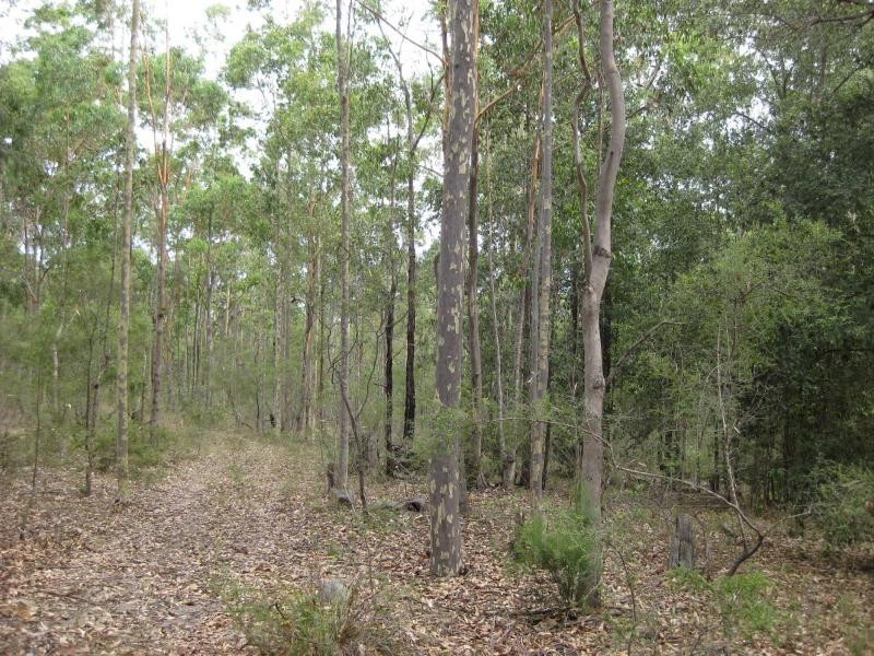 Proposed Lot 2371 of Thursbys Road, Congewai NSW 2325