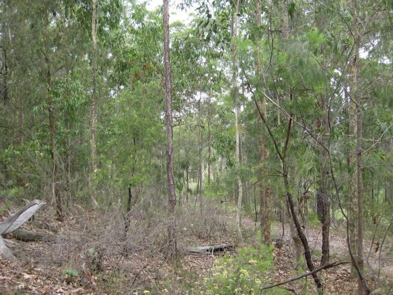 Proposed Lot 2371 of Thursbys Road, Congewai NSW 2325