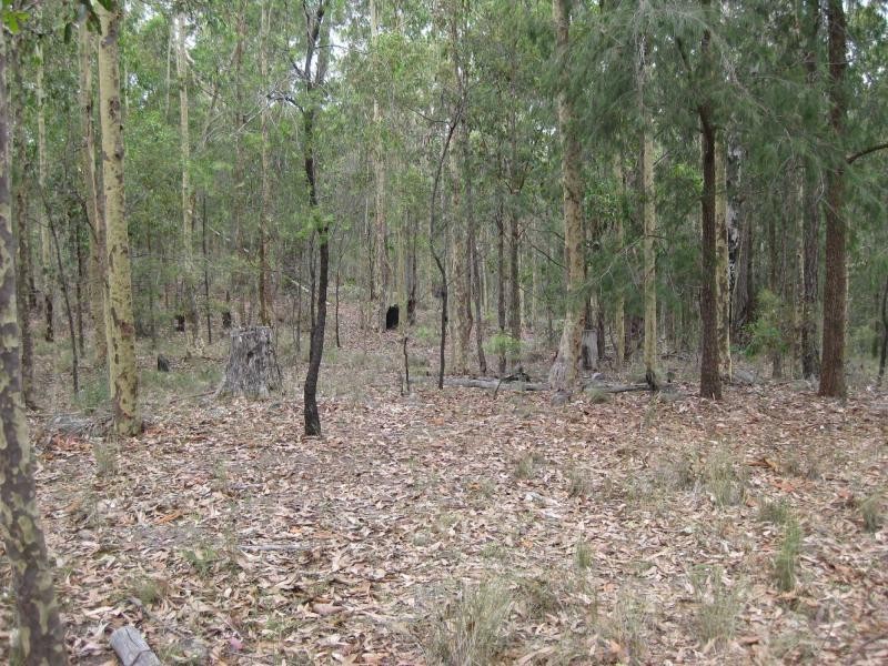 Proposed Lot 2371 of Thursbys Road, Congewai NSW 2325