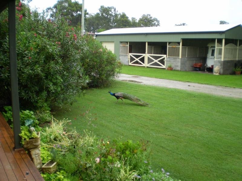 65 Government Road, Kurri Kurri NSW 2327