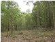 Proposed Lot 2371 of Thursbys Road, Congewai NSW 2325