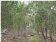 Proposed Lot 2371 of Thursbys Road, Congewai NSW 2325