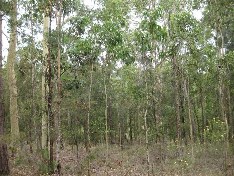 Proposed Lot 2371 of Thursbys Road, Congewai NSW 2325