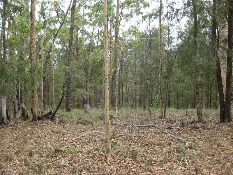 Proposed Lot 2371 of Thursbys Road, Congewai NSW 2325