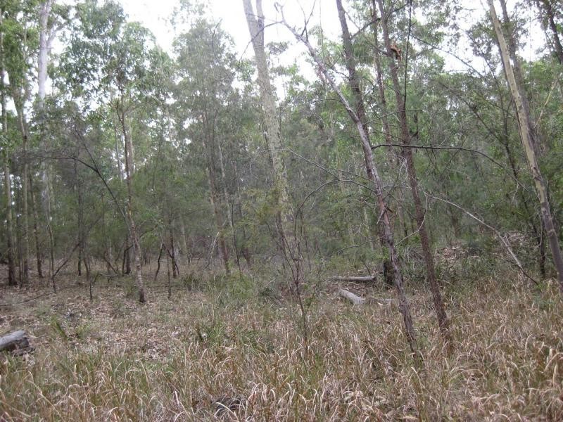 Proposed Lot 2371 of Thursbys Road, Congewai NSW 2325