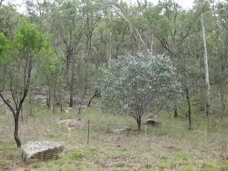 Broke NSW 2330