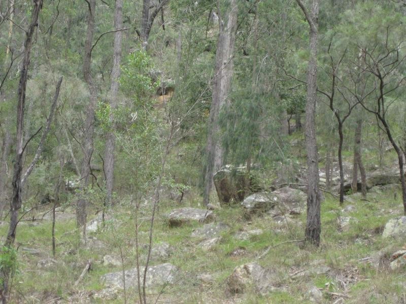 Broke NSW 2330