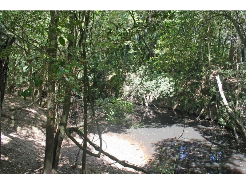 142 Martinsville Road, Martinsville NSW 2265