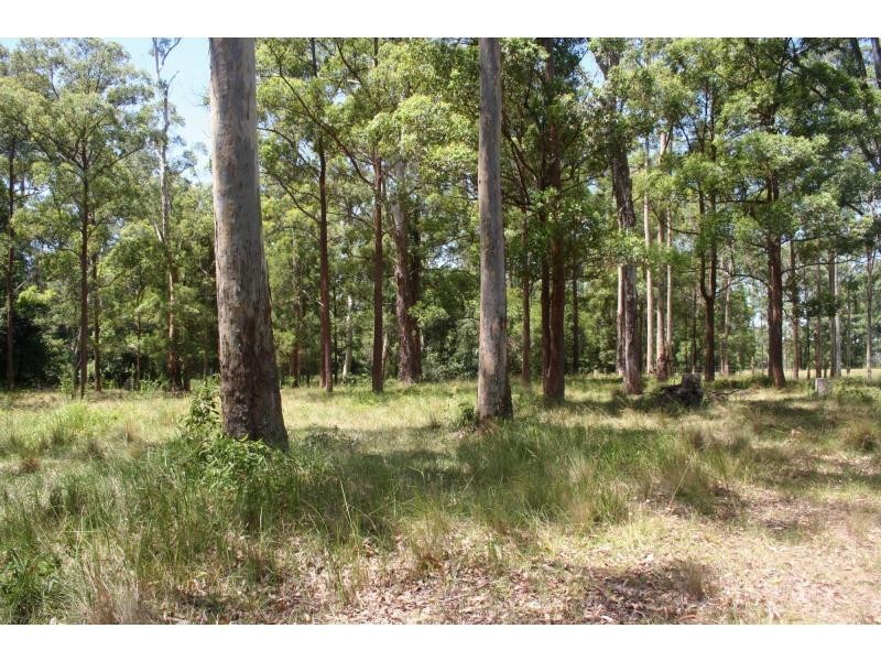 142 Martinsville Road, Martinsville NSW 2265