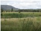 Lots 46, 47 & 432 Wallaby Gully Road, Ellalong NSW 2325