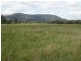 Lots 46, 47 & 432 Wallaby Gully Road, Ellalong NSW 2325