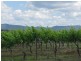 Lot 13 Wine Country Drive, Pokolbin NSW 2320