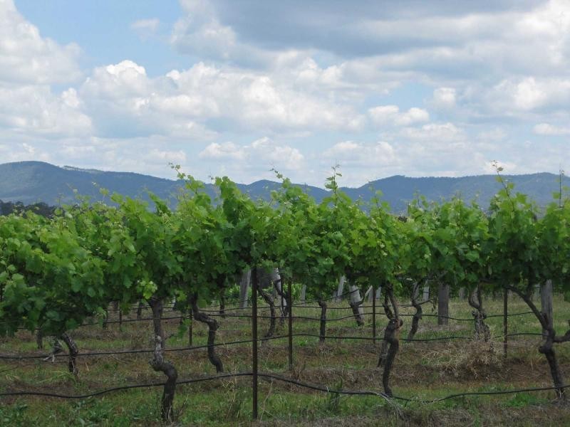 Lot 13 Wine Country Drive, Pokolbin NSW 2320