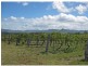 Lot 13 Wine Country Drive, Pokolbin NSW 2320