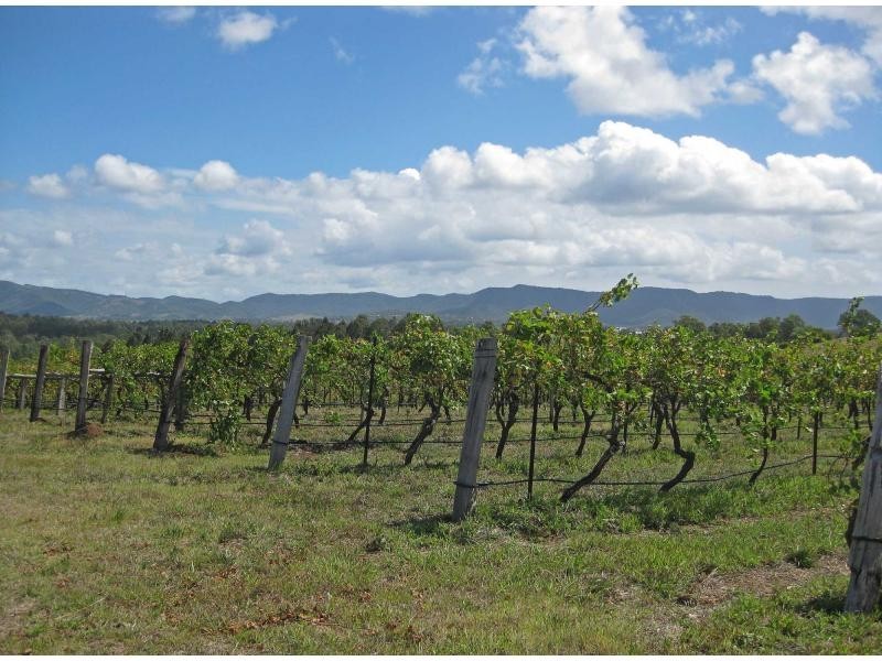 Lot 13 Wine Country Drive, Pokolbin NSW 2320