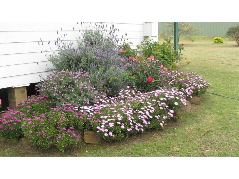 39 Tuckers Lane, North Rothbury NSW 2335