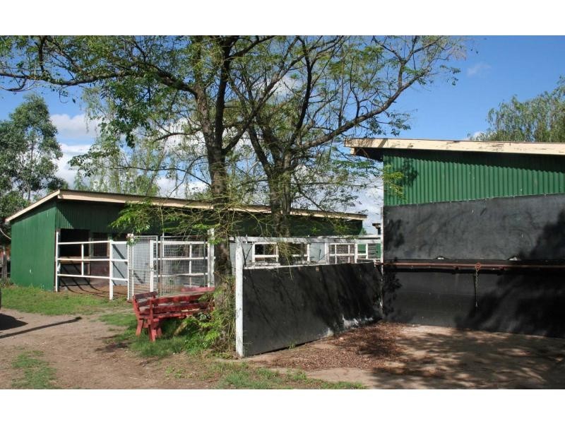 116 Louth Park Road, South Maitland NSW 2320