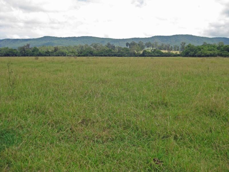 1721 Mount View Road, Millfield NSW 2325