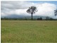 1721 Mount View Road, Millfield NSW 2325
