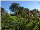 241 Bimbadeen Road, Mount View NSW 2325