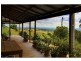 241 Bimbadeen Road, Mount View NSW 2325