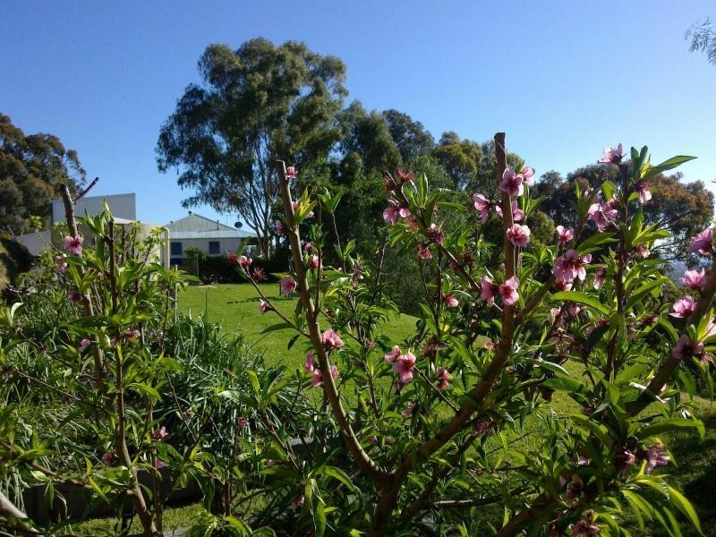 241 Bimbadeen Road, Mount View NSW 2325